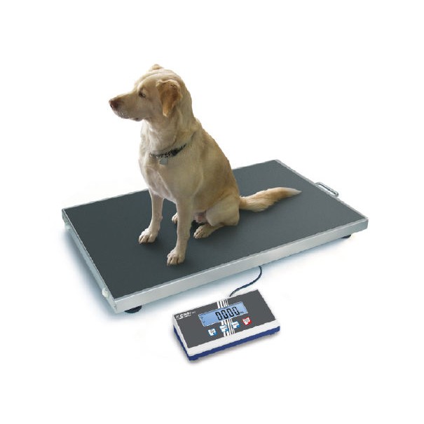 Balanza veterinaria de plataforma de acero inoxidable Kern EOS
