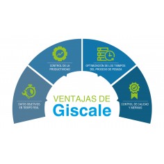 Software Giscale 2