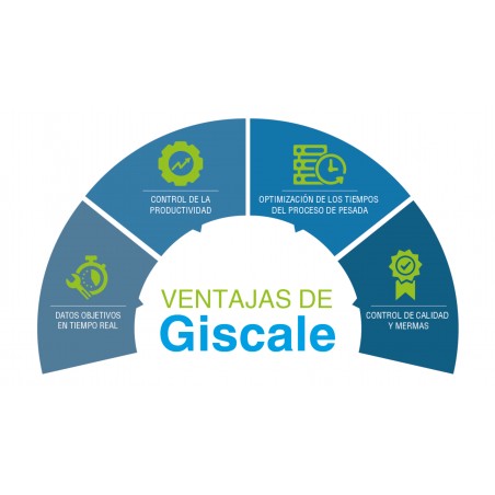 Software Giscale