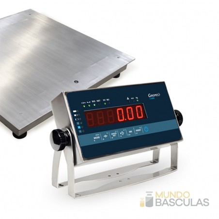 Báscula industrial de suelo en acero inoxidable BXS