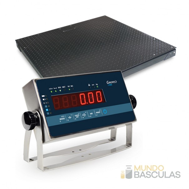 Báscula industrial de suelo BVE