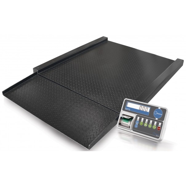 Báscula BVR con Impresora BR70